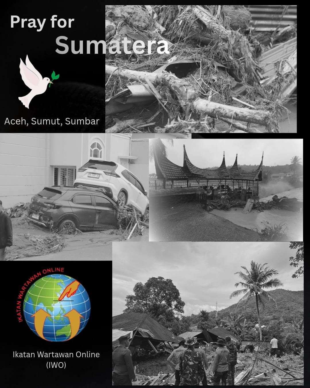 IWO Sampaikan Duka Cita dan Imbau Pengurus di Sumatera Perkuat Informasi Akurat Soal Bencana